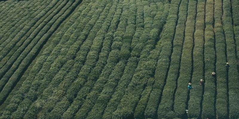 寻找唯一爱:现代社会中建立长期恋爱关系的实用指南